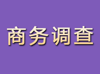 沙市商务调查