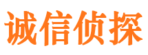 沙市市侦探